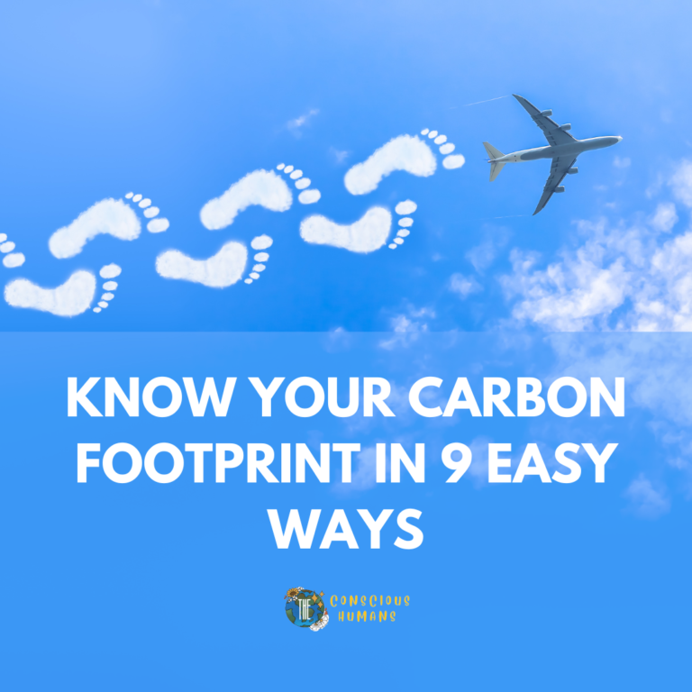 Know your carbon footprint in 9 easy ways