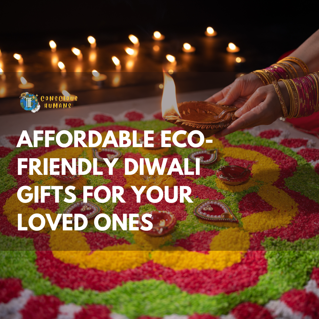 Premium Eco - Friendly Diwali Gift Box (cork And Coco Products) at Rs  4200.00 | Mumbai| ID: 2851260226962